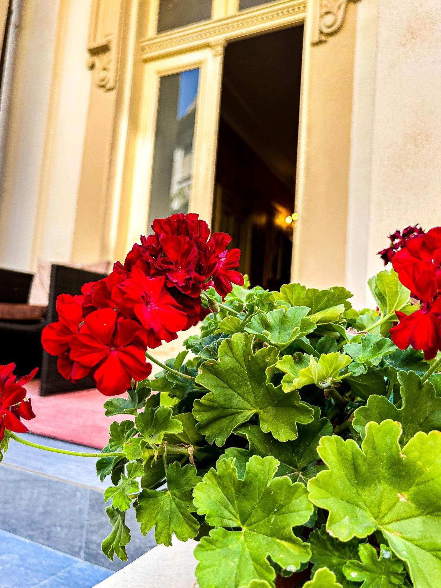 Hotel Boutique Casa Vermont Bucharest Exterior photo